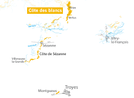 Côte des Blancs